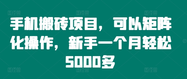 手机搬砖项目，可以矩阵化操作，新手一个月轻松5000多-巅峰资源网