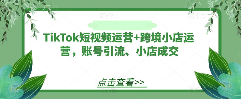 TikTok短视频运营+跨境小店运营，账号引流、小店成交-巅峰资源网