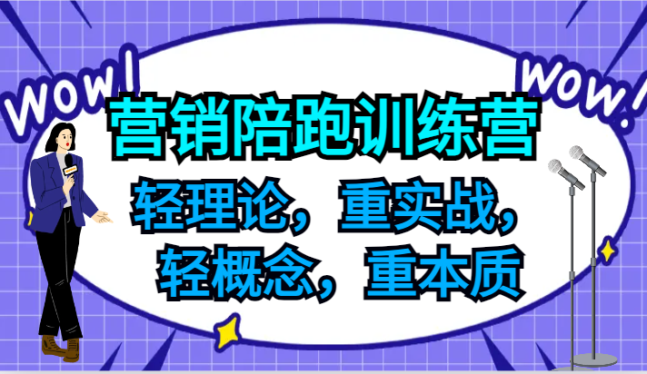 营销陪跑训练营，轻理论，重实战，轻概念，重本质，适合中小企业和初创企业的老板-巅峰资源网
