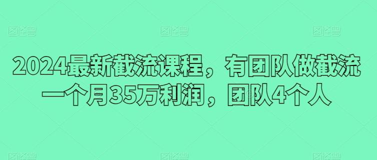 2024最新截流课程，有团队做截流一个月35万利润，团队4个人-巅峰资源网