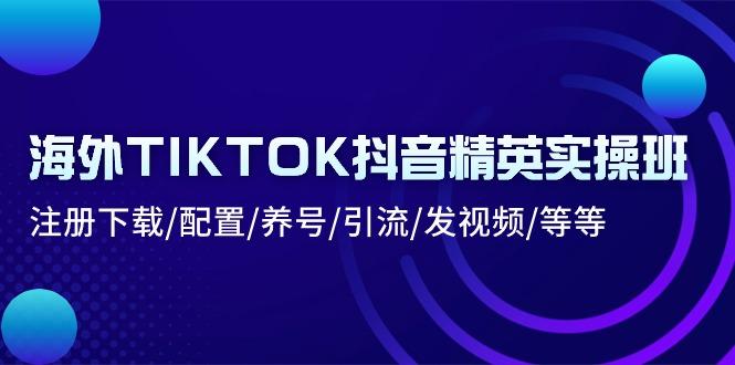 海外TIKTOK抖音精英实操班：注册下载/配置/养号/引流/发视频/等等-巅峰资源网