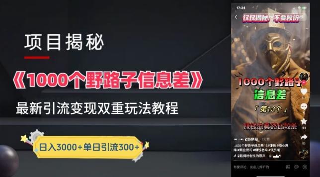 一千个野路子信息差最新玩法教程-变现+引流的玩法具体拆解【揭秘】-巅峰资源网