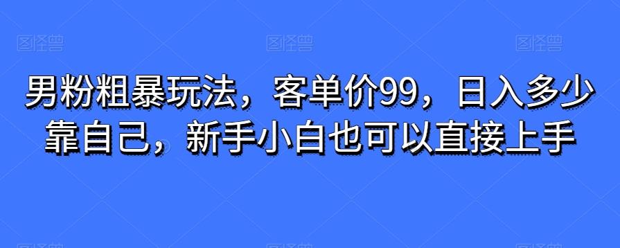 男粉粗暴玩法，客单价99，日入多少靠自己，新手小白也可以直接上手-巅峰资源网