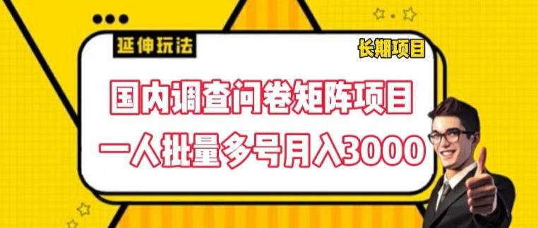 国内调查问卷矩阵项目，一人批量多号月入3000【揭秘】-巅峰资源网