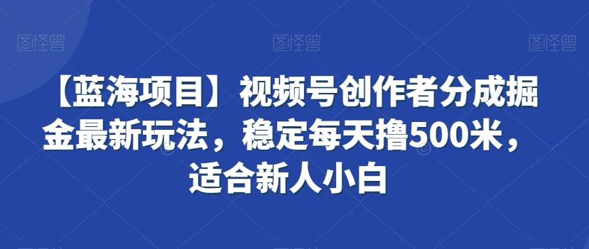 【蓝海项目】视频号创作者分成掘金最新玩法，稳定每天撸500米，适合新人小白【揭秘】-巅峰资源网