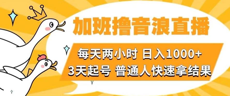加班撸音浪直播，每天两小时，日入1000+，直播话术才3句，3天起号，普通人快速拿结果【揭秘】-巅峰资源网