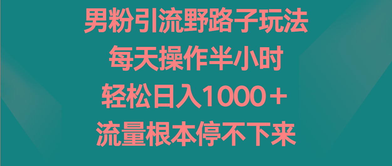 男粉引流野路子玩法，每天操作半小时轻松日入1000＋，流量根本停不下来-巅峰资源网