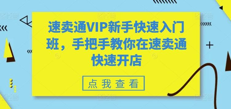 速卖通VIP新手快速入门班，手把手教你在速卖通快速开店-巅峰资源网