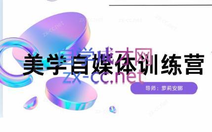 安娜·美学自媒体IP系统课-巅峰资源网