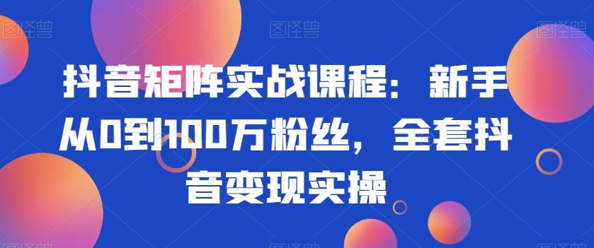 抖音矩阵实战课程：新手从0到100万粉丝，全套抖音变现实操-巅峰资源网
