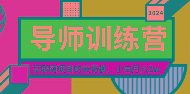 《导师训练营》精准粉丝引流的天花板，小白月入2w-巅峰资源网