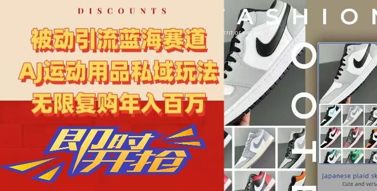 被动引流蓝海赛道，AJ运动用品私域玩法，无限复购年入百万【揭秘】-巅峰资源网