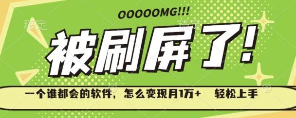 一个谁都会的软件，怎么变现月1万+轻松上手-巅峰资源网