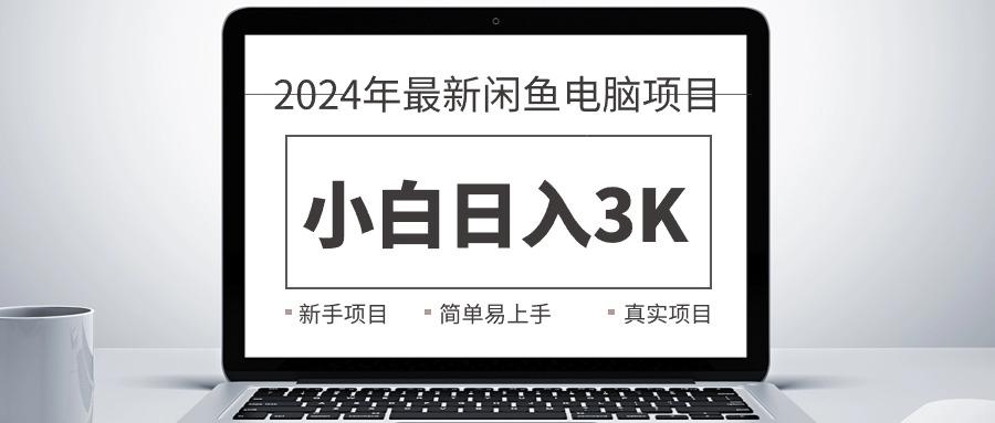 2024最新闲鱼卖电脑项目，新手小白日入3K+，最真实的项目教学-巅峰资源网