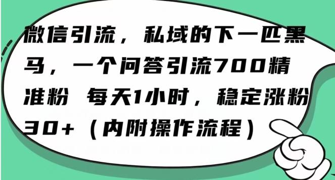 怎么搞精准创业粉？微信新赛道，每天一小时，利用Ai一个问答日引100精准粉-巅峰资源网