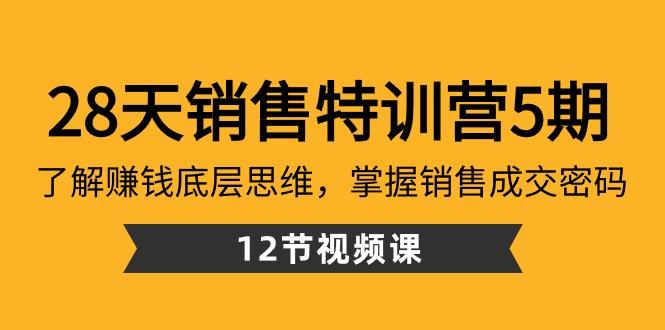 28天销售特训营5期：了解赚钱底层思维，掌握销售成交密码（12节课）-巅峰资源网