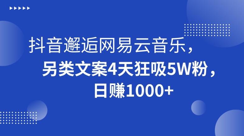 抖音邂逅网易云音乐，另类文案4天狂吸5W粉，日赚1000+【揭秘】-巅峰资源网