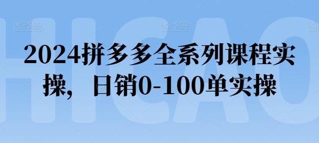2024拼多多全系列课程实操，日销0-100单实操【必看】-巅峰资源网