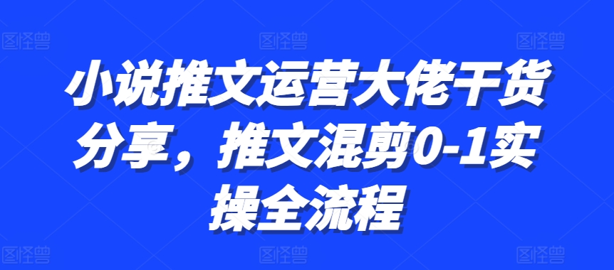 小说推文运营大佬干货分享，推文混剪0-1实操全流程-巅峰资源网