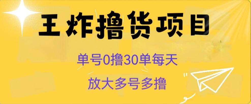 王炸撸货项目，单号0撸30单每天，多号多撸【揭秘】-巅峰资源网