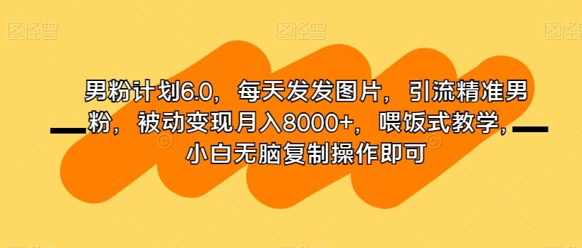 男粉计划6.0，每天发发图片，引流精准男粉，被动变现月入8000+，喂饭式教学，小白无脑复制操作即可-巅峰资源网