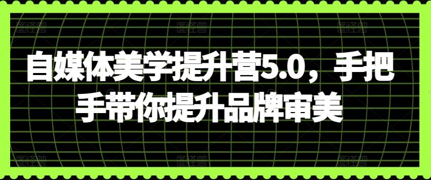 自媒体美学提升营5.0，手把手带你提升品牌审美-巅峰资源网