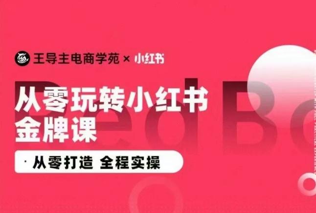 王导主·小红书电商运营实操课，​从零打造  全程实操-巅峰资源网