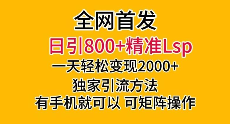 全网首发！日引800+精准老色批，一天变现2000+，独家引流方法，可矩阵操作【揭秘】-巅峰资源网