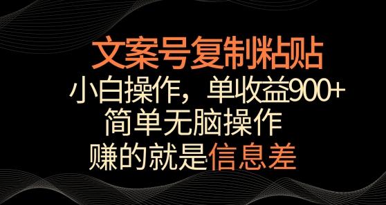 文案号掘金，简单复制粘贴，小白操作，单作品收益900+【揭秘】-巅峰资源网