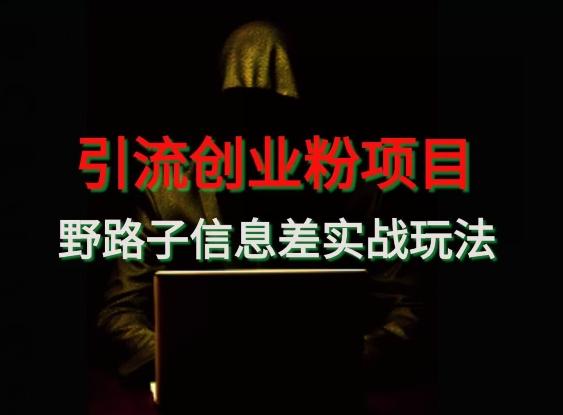 【引流创业粉】野路子信息差玩法实战教学-巅峰资源网