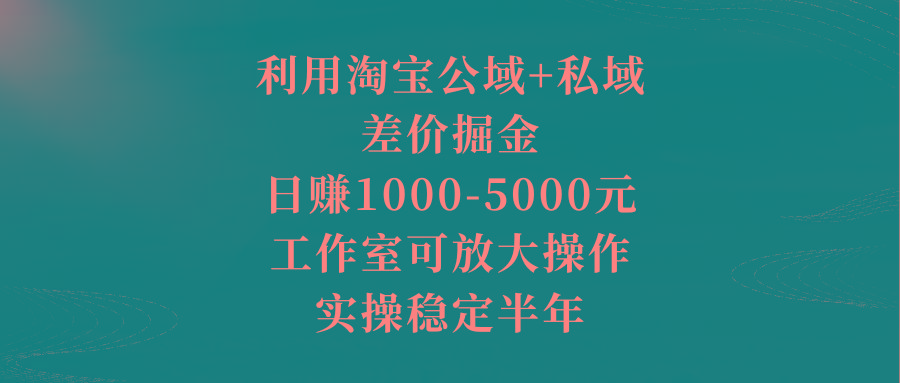 利用淘宝公域+私域差价掘金，日赚1000-5000元，工作室可放大操作，实操...-巅峰资源网
