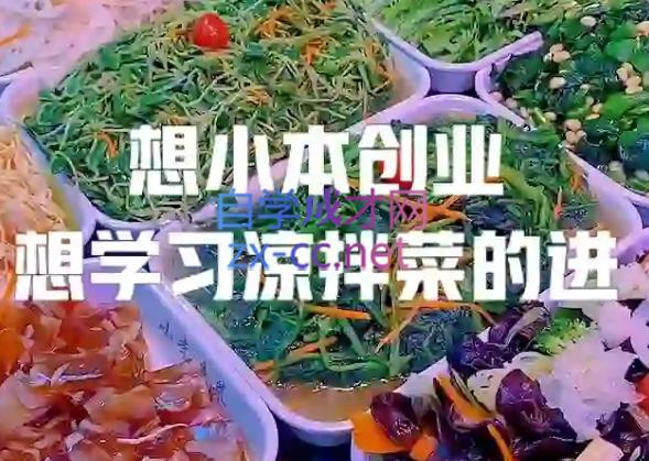 李记·精品凉拌菜系列热卤系列教程-巅峰资源网