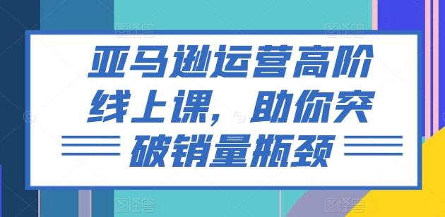 亚马逊运营高阶线上课，助你突破销量瓶颈-巅峰资源网
