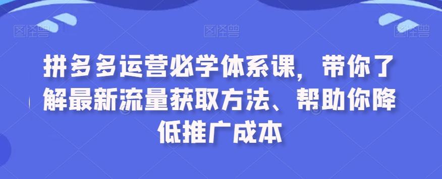 拼多多运营必学体系课，带你了解最新流量获取方法、帮助你降低推广成本-巅峰资源网