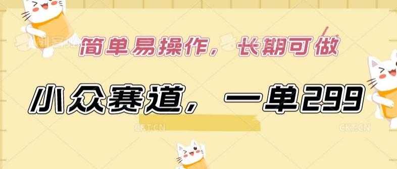 小众赛道，一单299.简单易操作，长期可做【揭秘】-巅峰资源网