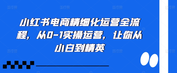 小红书电商精细化运营全流程，从0-1实操运营，让你从小白到精英-巅峰资源网