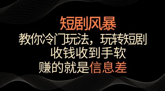短剧风暴，教你冷门玩法，玩转短剧，收钱收到手软【揭秘】-巅峰资源网