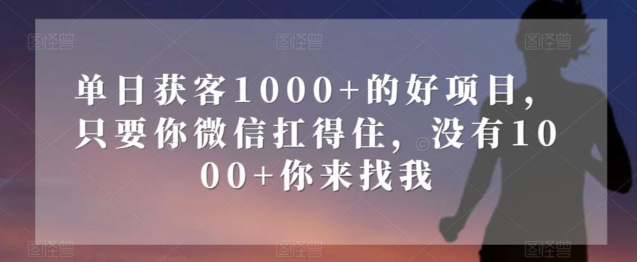 单日获客1000+的好项目，只要你微信扛得住，没有1000+你来找我【揭秘】-巅峰资源网