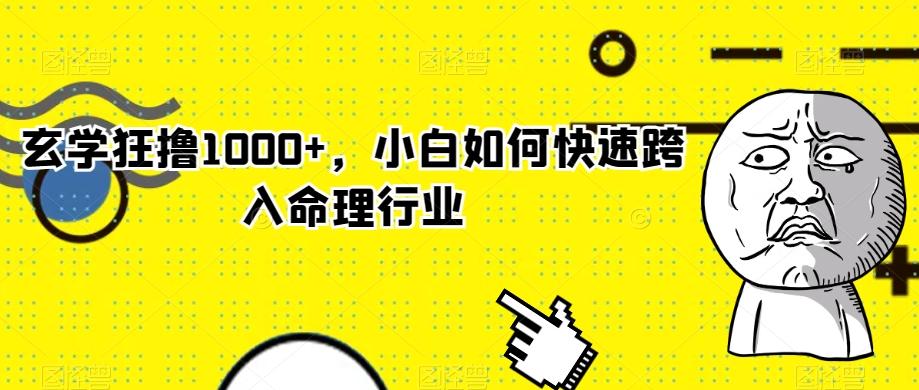玄学狂撸1000+，小白如何快速跨入命理行业-巅峰资源网