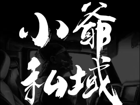 小爷·私域项目操盘手-巅峰资源网