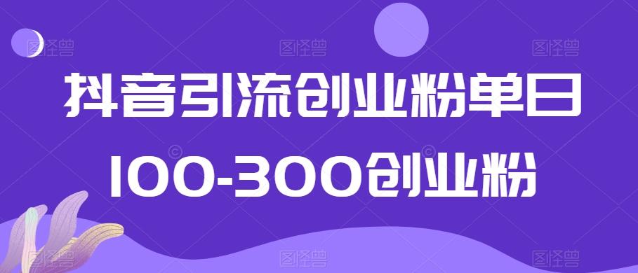 抖音引流创业粉单日100-300创业粉【揭秘】-巅峰资源网