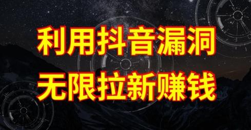利用抖音链接漏洞，无限拉新赚钱【漏洞原理+操作流程】【揭秘】-巅峰资源网