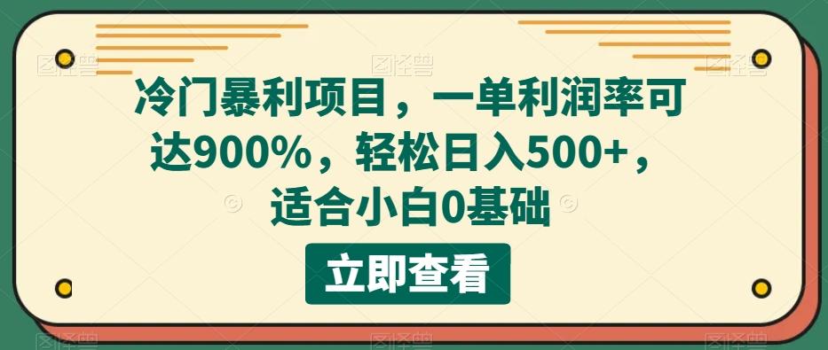 冷门暴利项目，一单利润率可达900%，轻松日入500+，适合小白0基础-巅峰资源网