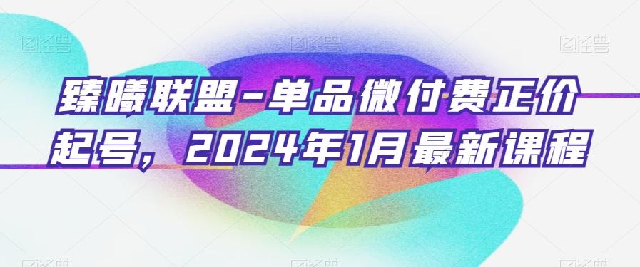 臻曦联盟-单品微付费正价起号，2024年1月最新课程-巅峰资源网