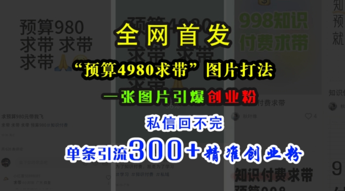 小红书“预算4980带我飞”图片打法，一张图片引爆创业粉，私信回不完，单条引流300+精准创业粉-巅峰资源网