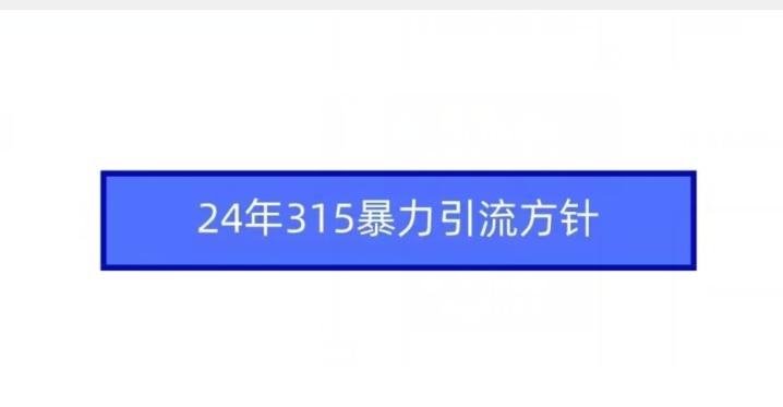 24年315暴力引流方针-巅峰资源网