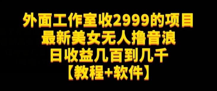 外面工作室收2999的项目最新美女无人撸音浪日收益几百到几千【教程+软件】（仅揭秘）-巅峰资源网