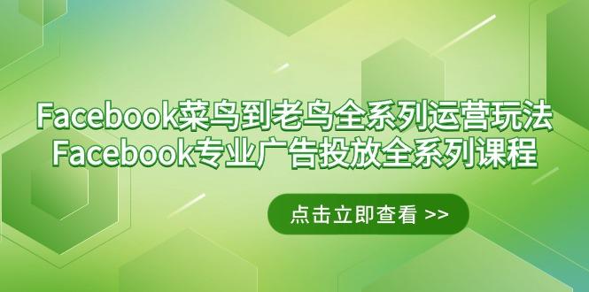 Facebook-菜鸟到老鸟全系列运营玩法+Facebook-专业广告投放全系列课程-巅峰资源网
