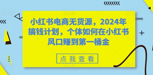 小红书电商无货源，2024年搞钱计划，个体如何在小红书风口赚到第一桶金-巅峰资源网