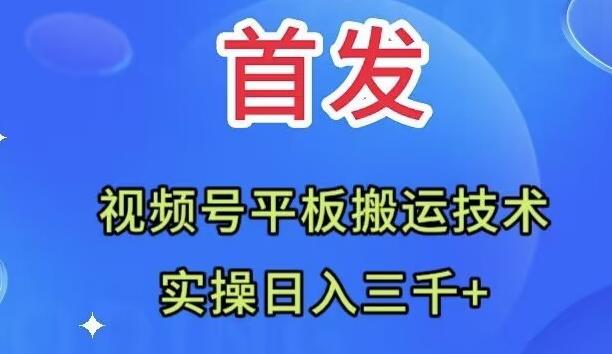 全网首发：视频号平板搬运技术，实操日入三千＋-巅峰资源网